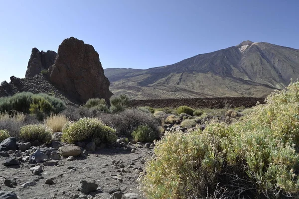 Roques Garcia Teide Tenerife Volkanik Ada — Stok fotoğraf