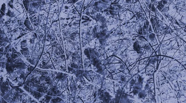 Células Como Conexões Neurônios Como Olhar Fundo Projetado — Fotografia de Stock
