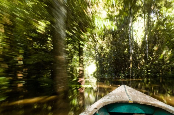 Canoa Con Movimento Sfocato Remare Fiume — Foto Stock