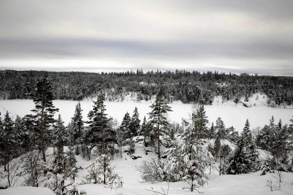 Vacker Vinter Landskap Utsikt — Stockfoto
