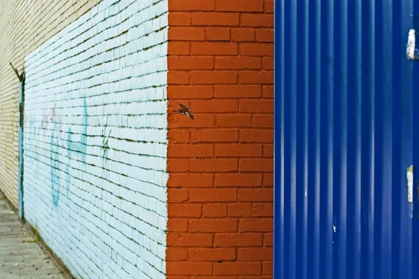 Close View Corner Painted Wall Graffiti — Stock Photo, Image