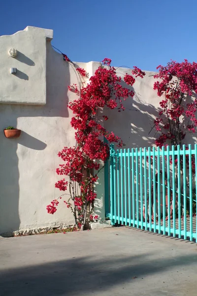 Une Clôture Turquoise Avec Des Fleurs Rouges Bâtiment Stuc — Photo