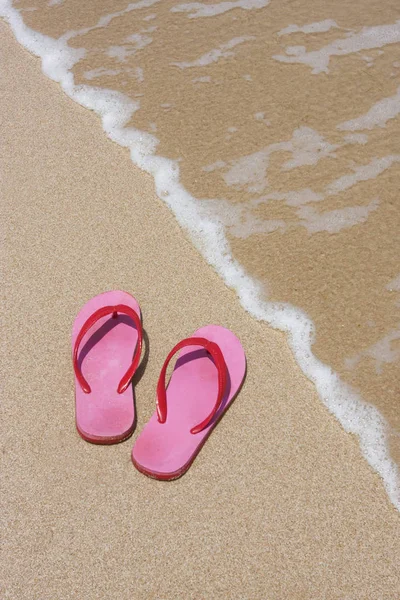 Πολύχρωμες Ροζ Σαγιονάρες Στην Παραλία Δίπλα Στο Νερό — Φωτογραφία Αρχείου