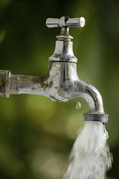 Agua Que Corre Desde Grifo Jardín — Foto de Stock