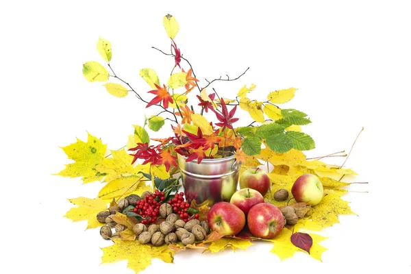 Prachtige Arrangement Van Herfst Bladeren Rode Appels Walnoten — Stockfoto