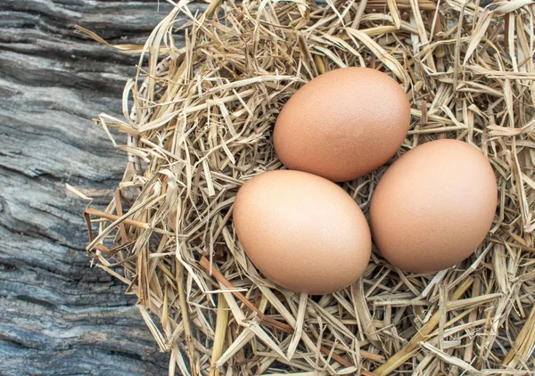 木地板上稻草窝中的鸡蛋 — 图库照片
