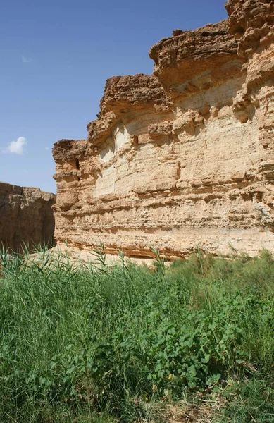 Desert rock, blue sky, green grass