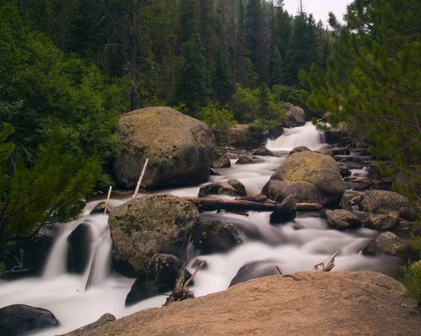 White Rushing Vrain River Racing Green Forests Rocky Mountain National — Stock Photo, Image