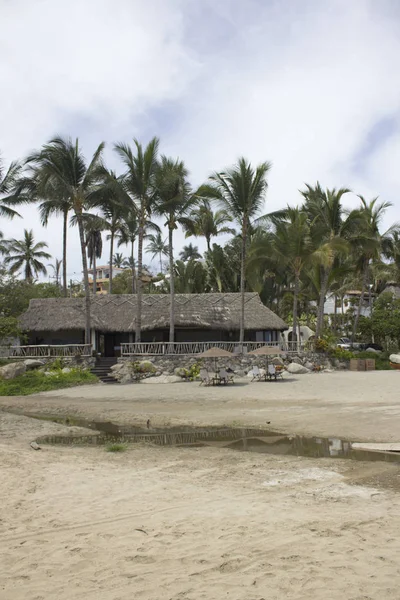 Una Ubicación Playa Tropical México Con Palmeras — Foto de Stock