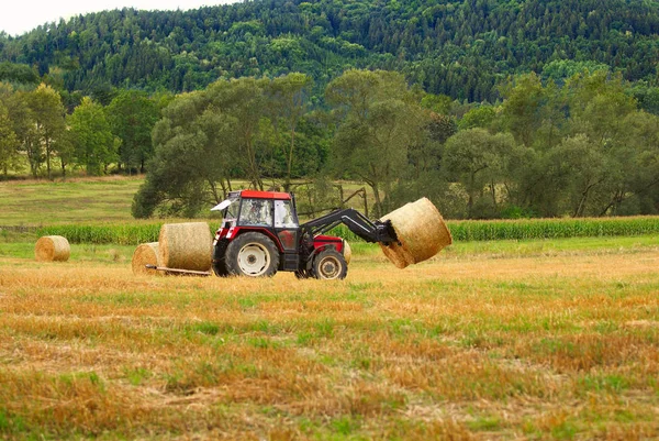 Cosecha Tractor Recogiendo Trigo Campo — Foto de Stock