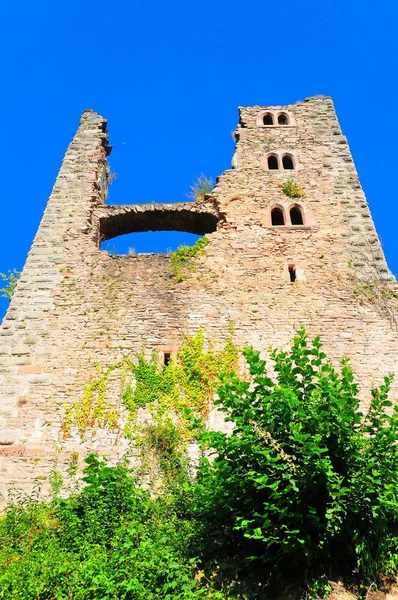 Veduta Del Castello Medievale Schauenburg Vicino Oberkirch Contea Ortenau Baden — Foto Stock