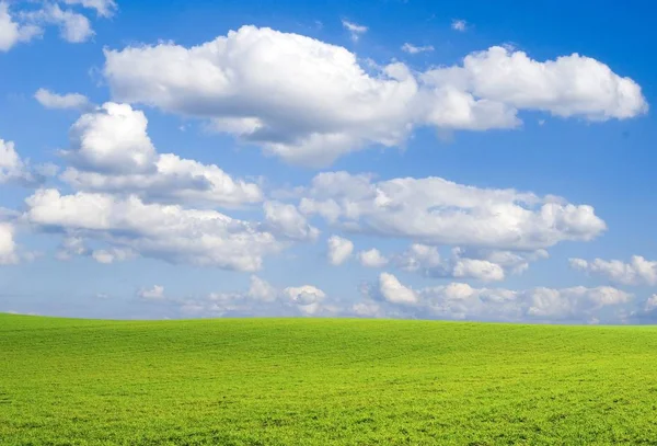 Feld Auf Einem Hintergrund Des Blauen Himmels — Stockfoto