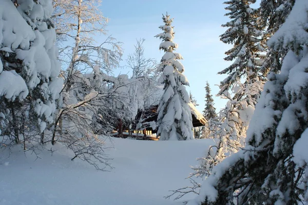 Schöne Norwegische Natur Hintergrund — Stockfoto