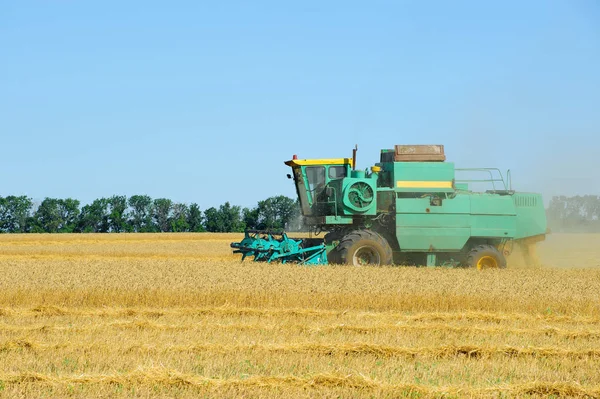 小麦の収穫を収獲するコンバインに提出で — ストック写真