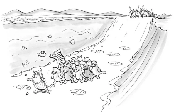 Кошки Отвлекаются Рыб Пересекают Красное Море Моисеем — стоковое фото