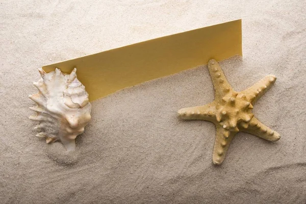 Παλιό Κίτρινο Χαρτί Και Κέλυφος Στην Άμμο — Φωτογραφία Αρχείου