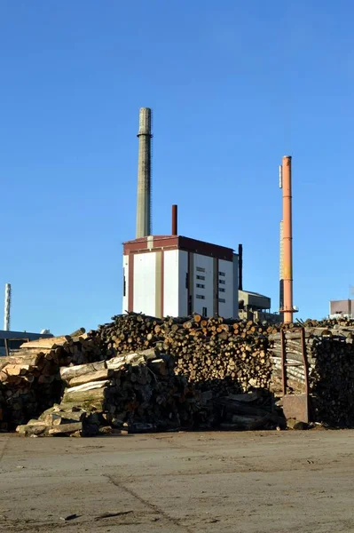 Usine Pâte Papier Avec Deux Cheminées Bois Ciel Bleu — Photo