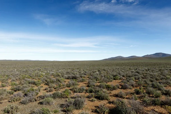 Hermoso Paisaje Azul Verde Plano Tankwa Karoo — Foto de Stock