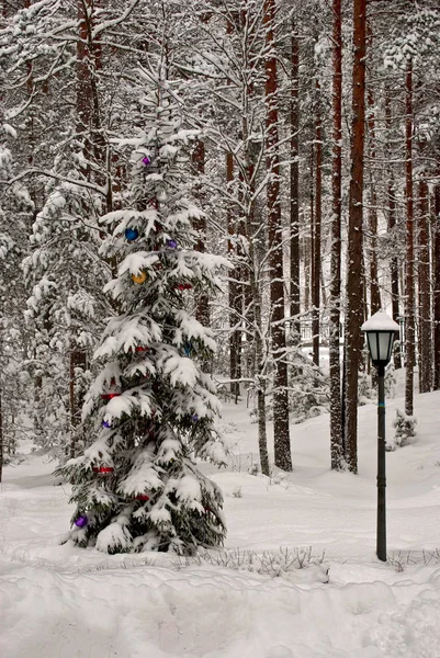Рождественская Елка Украшенная Игрушками Зимнем Лесу — стоковое фото