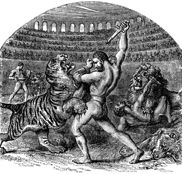 Χαρακτική Μονομάχων Που Πολεμούν Άγρια Τίγρη Και Λιοντάρι Στο Αμφιθέατρο — Φωτογραφία Αρχείου