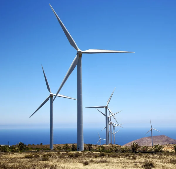 Turbinas Eólicas Africanas Céu Ilha Espanha Lanzarote — Fotografia de Stock