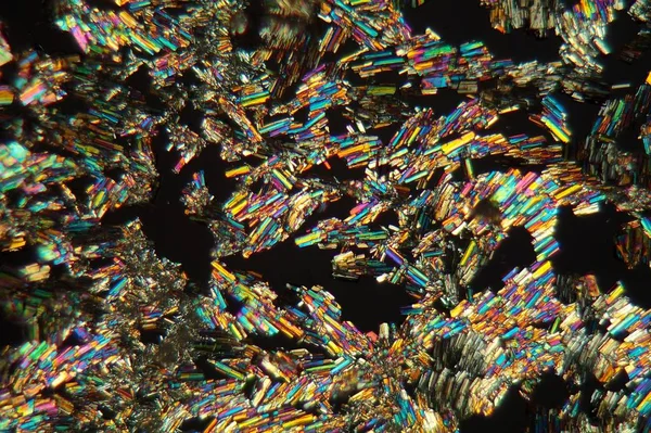 Alanine is a amino acid which occurs in the human body. The photo is made with a magnification of 100x and in polarized light. The sample is pure Alanine precipitated from a solution on a microscope slide.