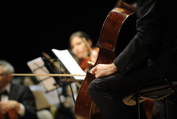 Gra Chello Podczas Klasycznej Muzyki Koncertowej — Zdjęcie stockowe
