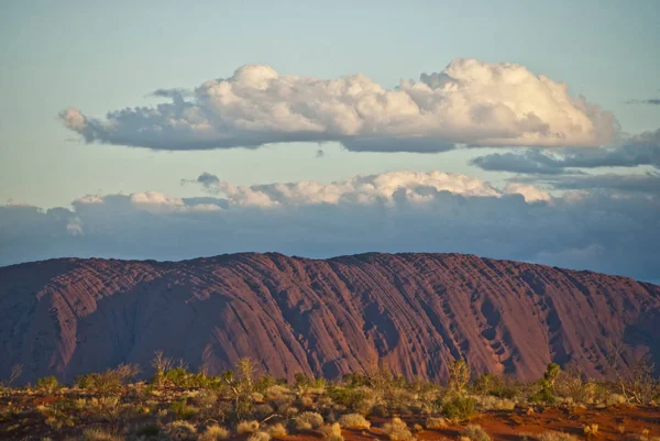 Detalle Del Outback Australiano Territorio Del Norte Australia Agosto 2009 — Foto de Stock