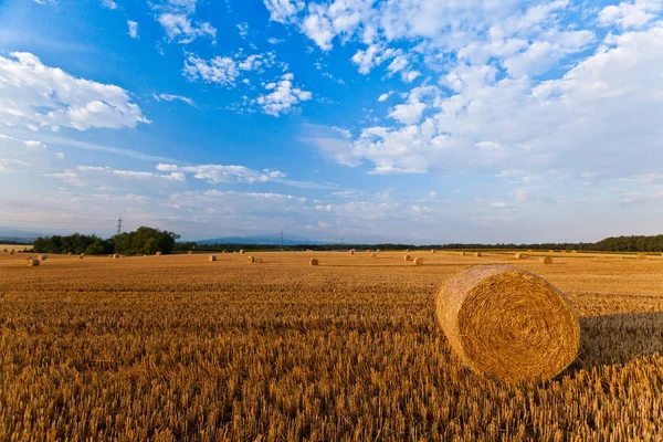 Strohballen Aus Weizen Nach Der Ernte — Stockfoto