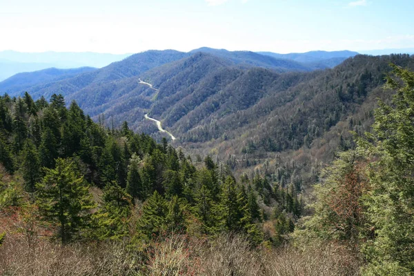 Suuri Smoky Mountain Kansallispuisto Aamulla — kuvapankkivalokuva