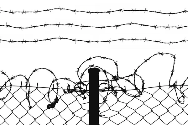 Wired Fence Barbed Wires — Stock Photo, Image