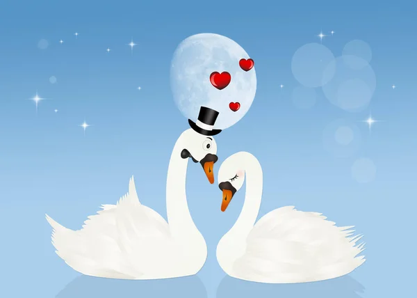 Иллюстрация Влюблённых Лебедей Лунном Свете — стоковое фото