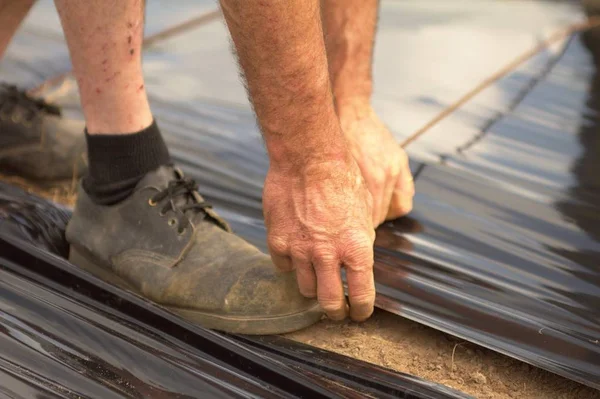 Руки Фермера Який Працює Полі Фіксуючи Чорний Пластиковий Рулон — стокове фото