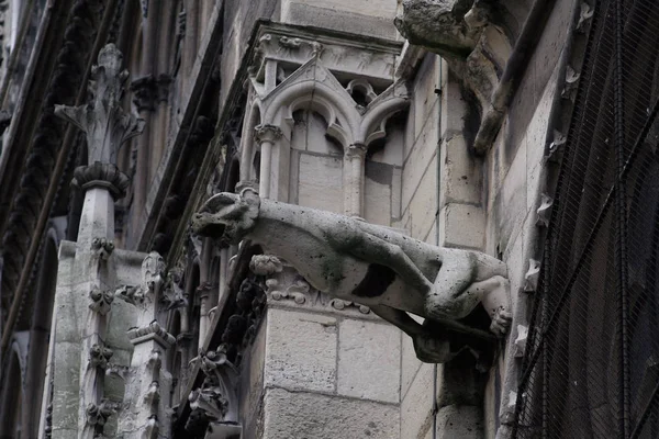 Capitale Della Francia Parigi Notre Dame Frammento Decorazione Architettonica Gargoyle — Foto Stock