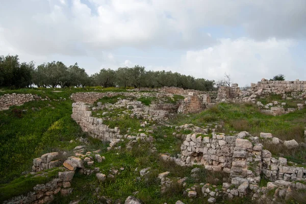 Sebastia Excavación Del Antiguo Israel Territorio Palestino — Foto de Stock