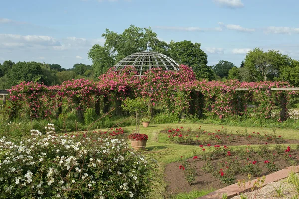 Rosendom Rosesdome Rosenhoehe Дармштадті Гессен Німеччина — стокове фото