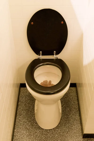 汚いトイレ 洗面所のブラシ ヴィンテージ トイレを必要と — ストック写真