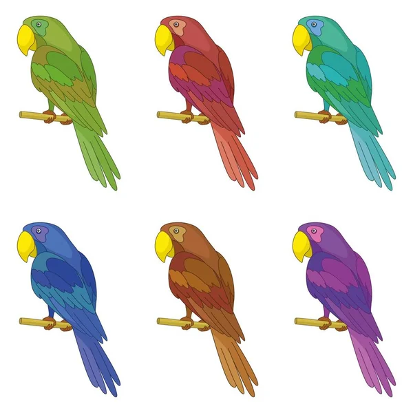 Set Colorido Inteligente Falando Papagaios Coloridos Senta Poste Madeira — Fotografia de Stock