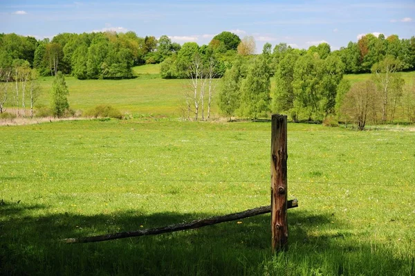 Jarní Krajina Krásnou Svěží Zelené Louky Pastviny — Stock fotografie