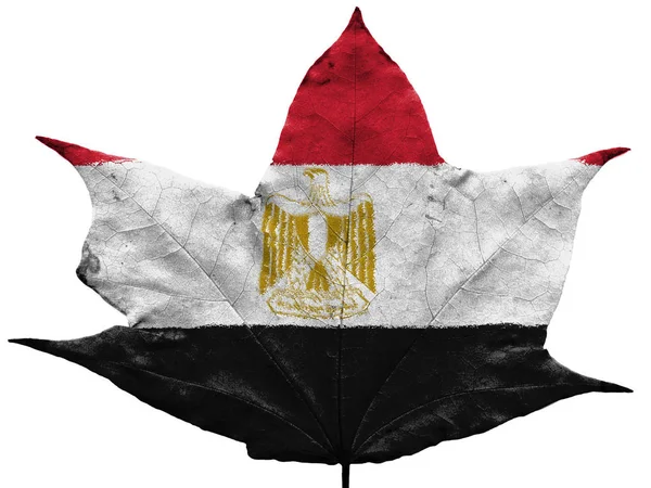 Египетский Флаг Раскрашенный Сухом Осеннем Листе — стоковое фото