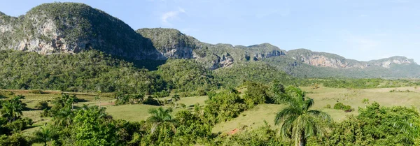 Landskap Med Mogotes Vinales Valley Kuba — Stockfoto