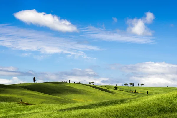 Blick Auf Die Malerische Landschaft Der Toskana — Stockfoto