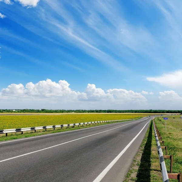 Estrada Asfalto Para Horizonte Nublado — Fotografia de Stock