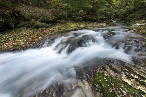 Flow Water Ruek Woods Autumn — стоковое фото