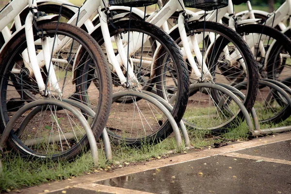 Λευκά Ποδήλατα Στάθμευσης Σειρά — Φωτογραφία Αρχείου