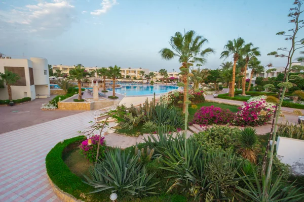 Paisajes Junto Piscina Hotel Sharm Sheikh — Foto de Stock