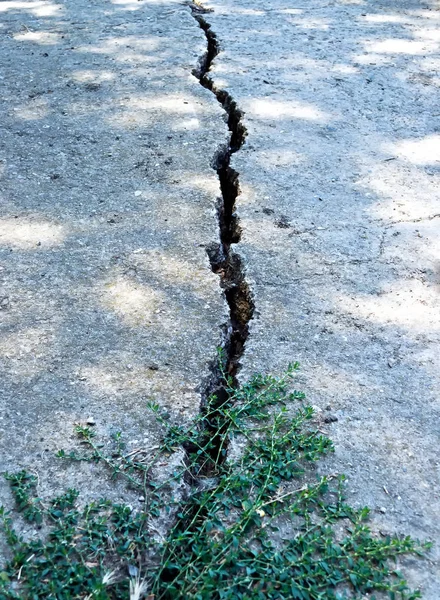 Una Profonda Crepa Nella Pavimentazione Cemento Della Strada — Foto Stock