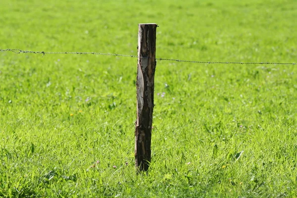 緑の野の上の木製柵 — ストック写真