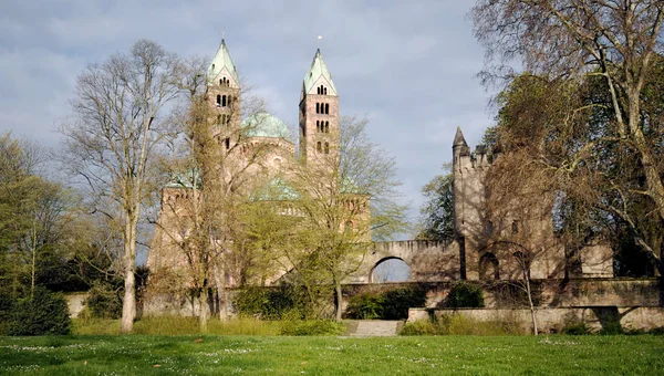 Uitzicht Dom Van Speyer Unesco Werelderfgoedlocatie Rijnland Palts Duitsland — Stockfoto