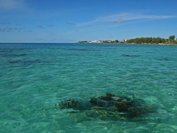 Mar Tropical Verde Com Recife Caldeira Claramente Visível Abaixo Superfície — Fotografia de Stock